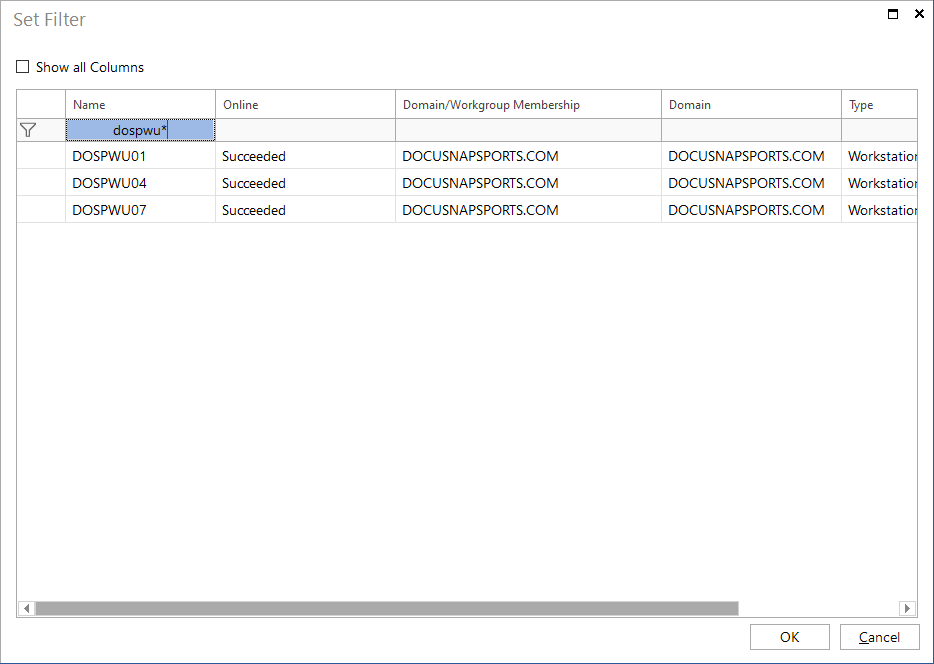 docusnap-IT-concepts-Data-Element-Set-Filter