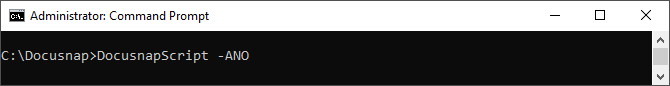 Docusnap-Script-Windows-Command-Line-Parameter-ANO