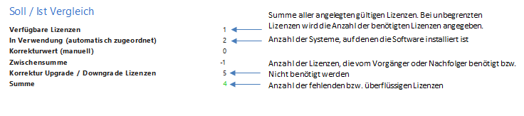 Docusnap-Lizenzmangement-Berichte-Auswertung-Kurzuebersicht