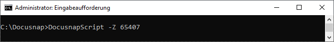 Docusnap-Skript-Windows-Command-Line-Parameter-Z
