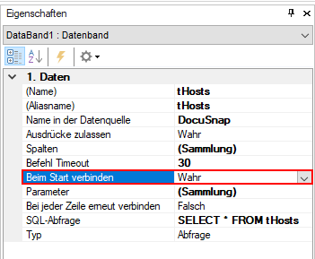 Docusnap-Berichte-Designer-Eigenschaften-beim-start-verbinden
